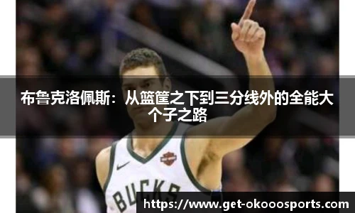 布鲁克洛佩斯：从篮筐之下到三分线外的全能大个子之路